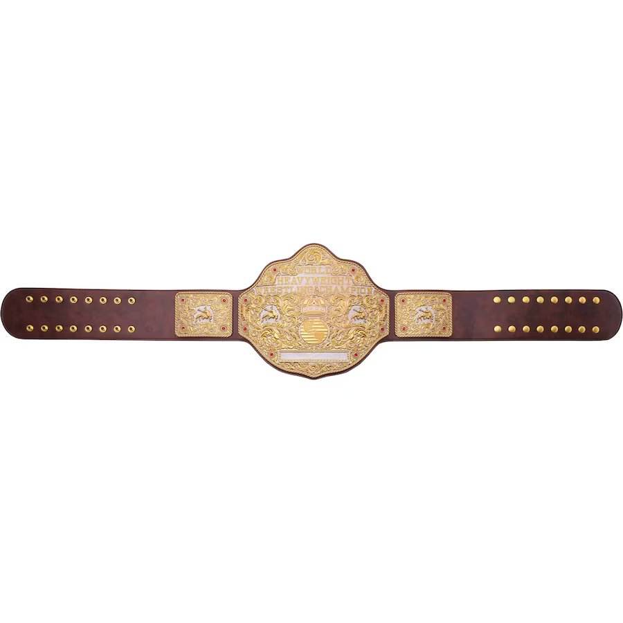 WWE Big Gold World Heavyweight Championship Title Belt - 7 | Dash Racegear