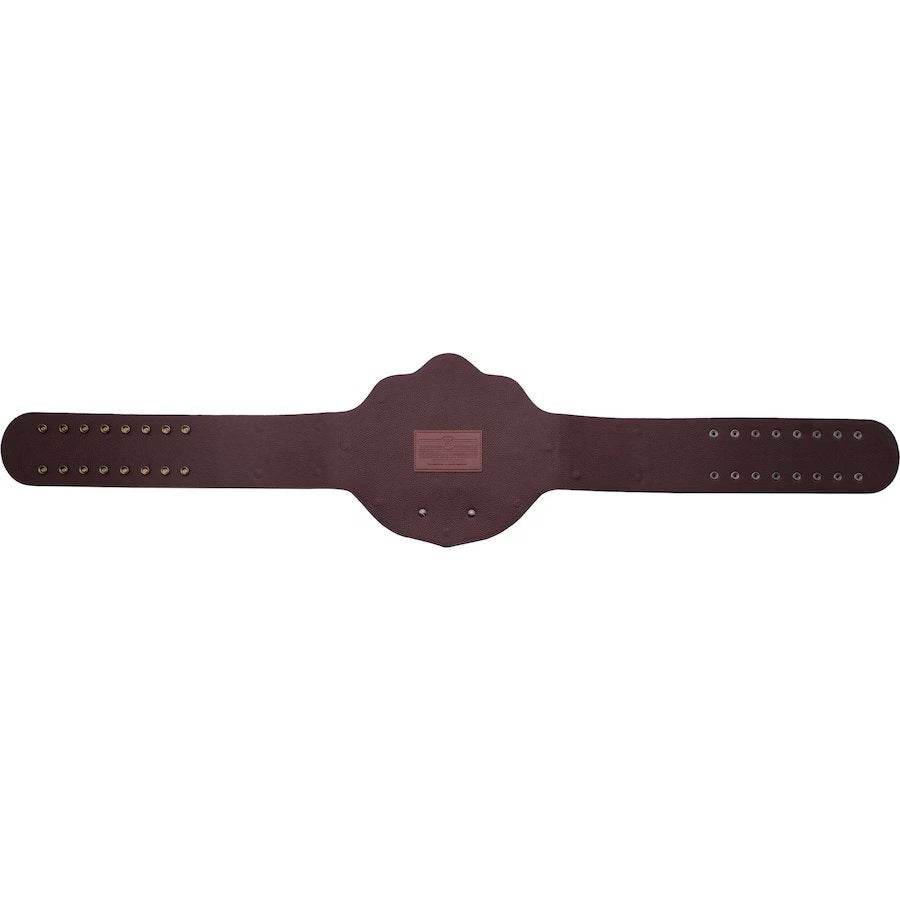WWE Big Gold World Heavyweight Championship Title Belt - 8 | Dash Racegear