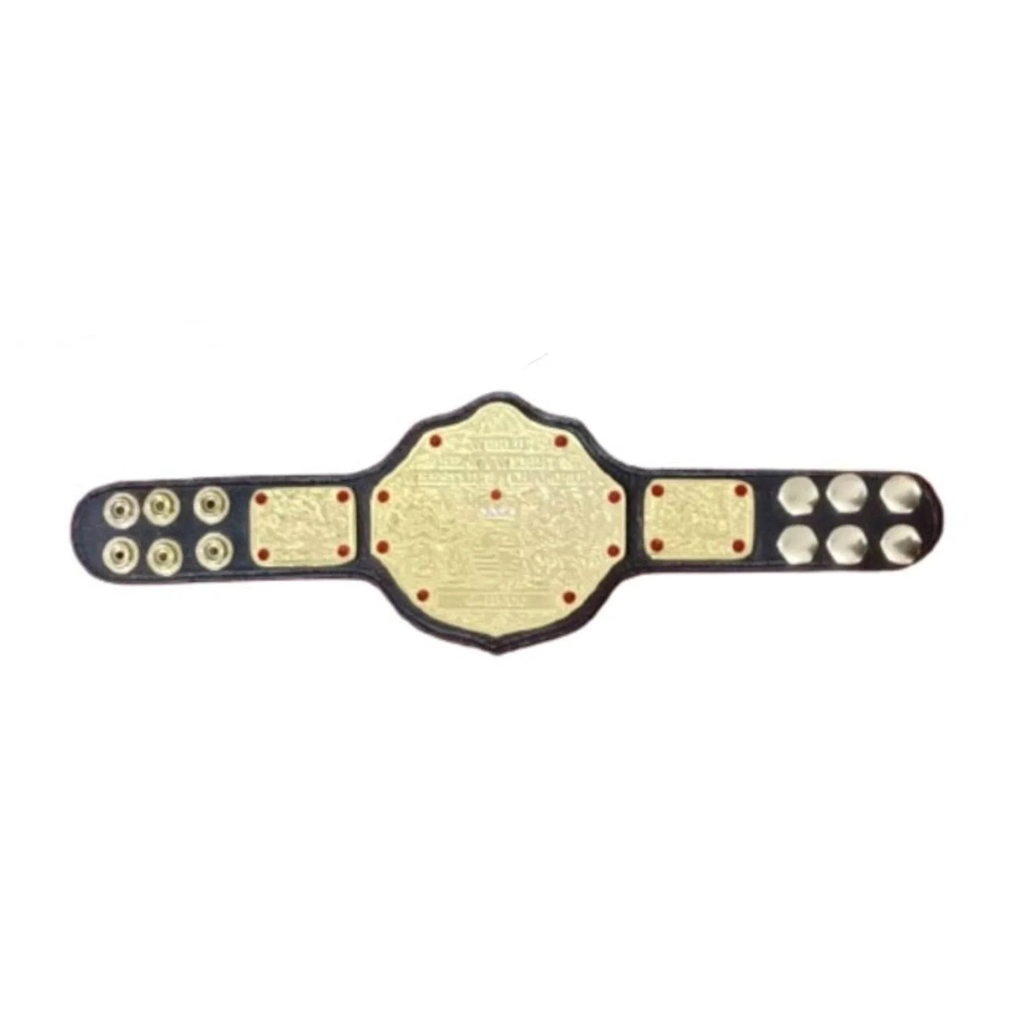 WWE Big Gold Wrestling Championship Mini Inspired Title Belt - 1 | Dash Racegear