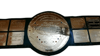 WWF Big Green World Heavyweight Wrestling Champion Title Belt - 1 | Dash Racegear
